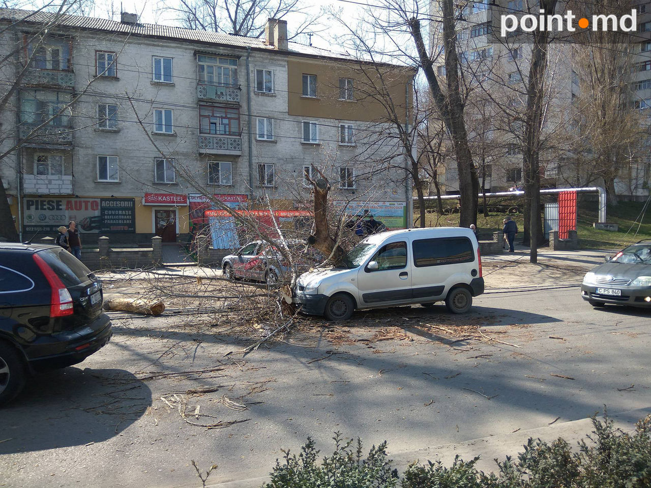 На Мунчештском шоссе рухнуло дерево на проезжую часть