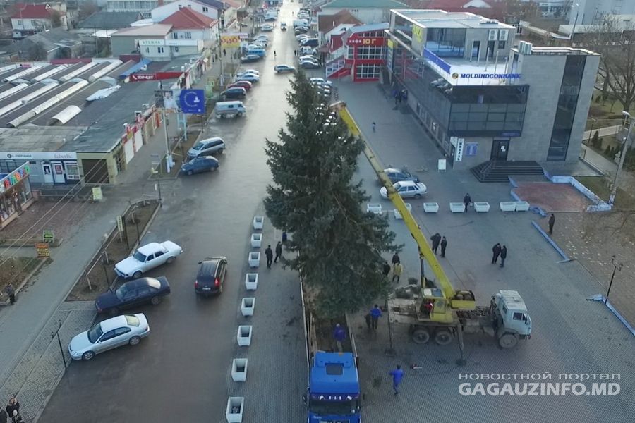 В Комрате установили 15-метровую ель стоимостью 20 тысяч леев