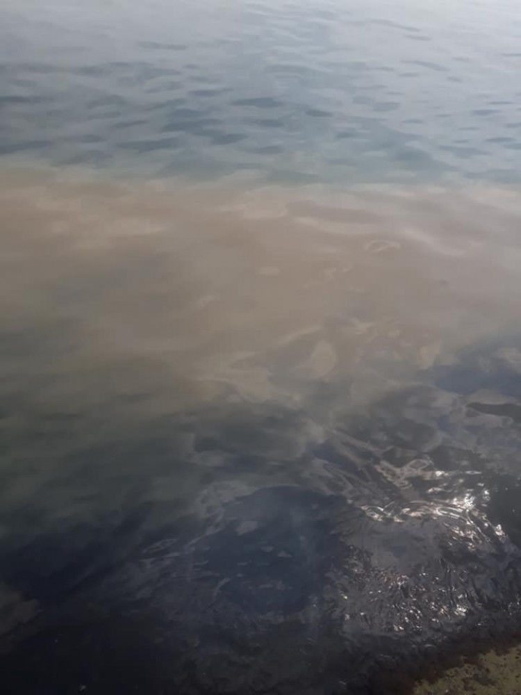 В курортном поселке под Одессой в море попали фекалии с очистительной станции