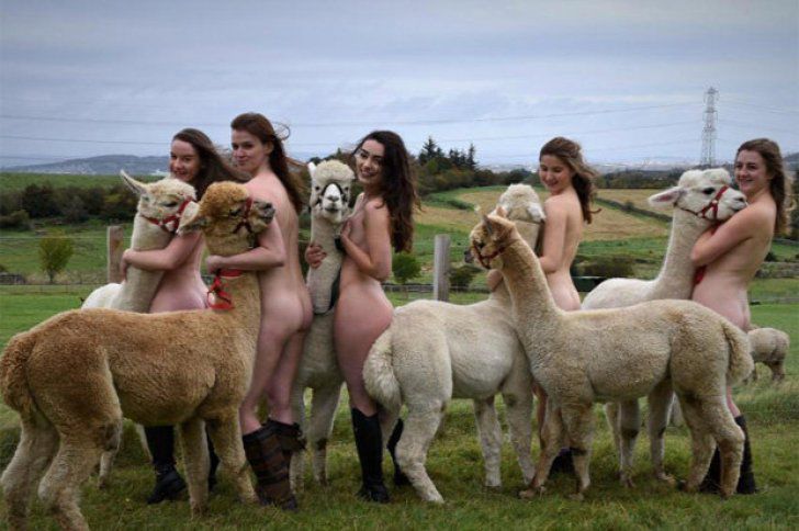 Studente la veterinară s-au pozat dezbrăcate