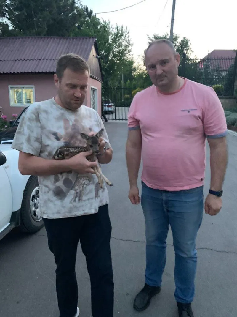 Пожарные спасли из огня детеныша косули