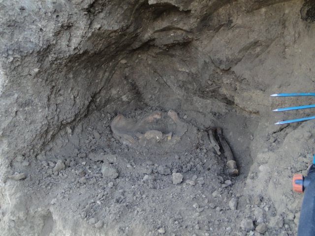 Неожиданная находка была обнаружена на Кицканском плацдарме