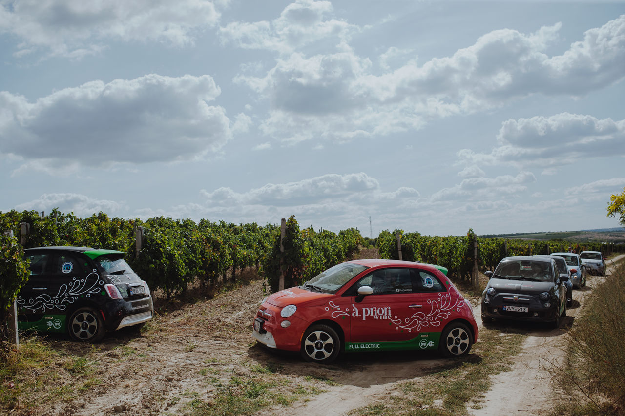 Apriori Wine: Будущее наступит завтра, будь экорациональным сегодня ®