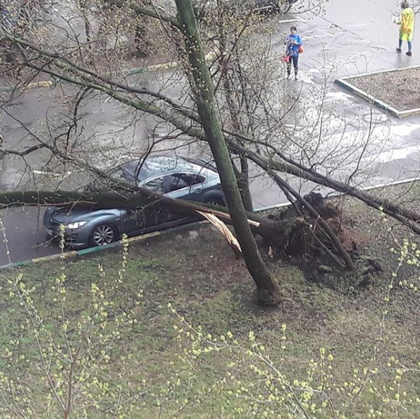В результате урагана в Москве и Подмосковье погибли люди