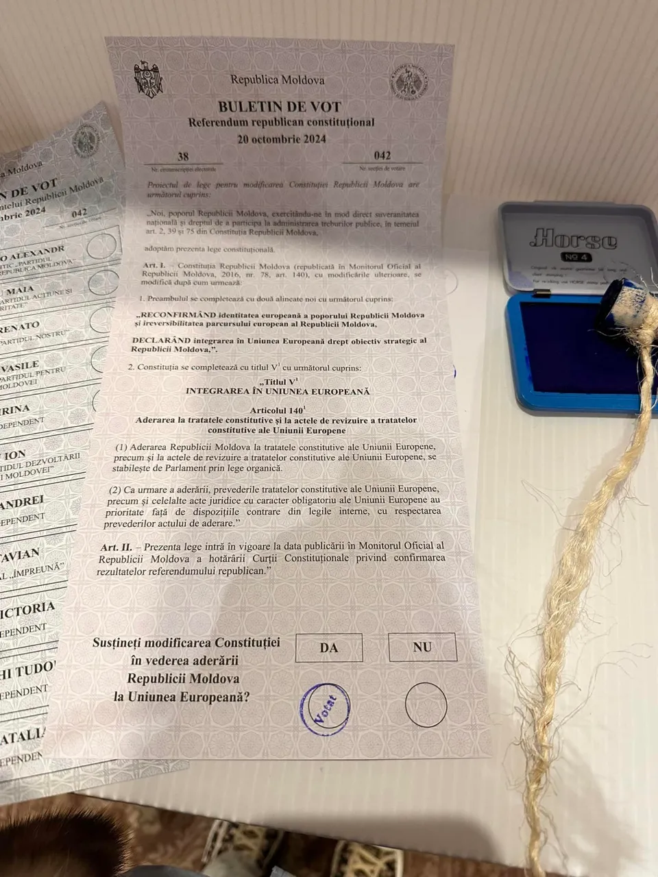 Экс-депутат сфотографировала и опубликовала заполненный бюллетень