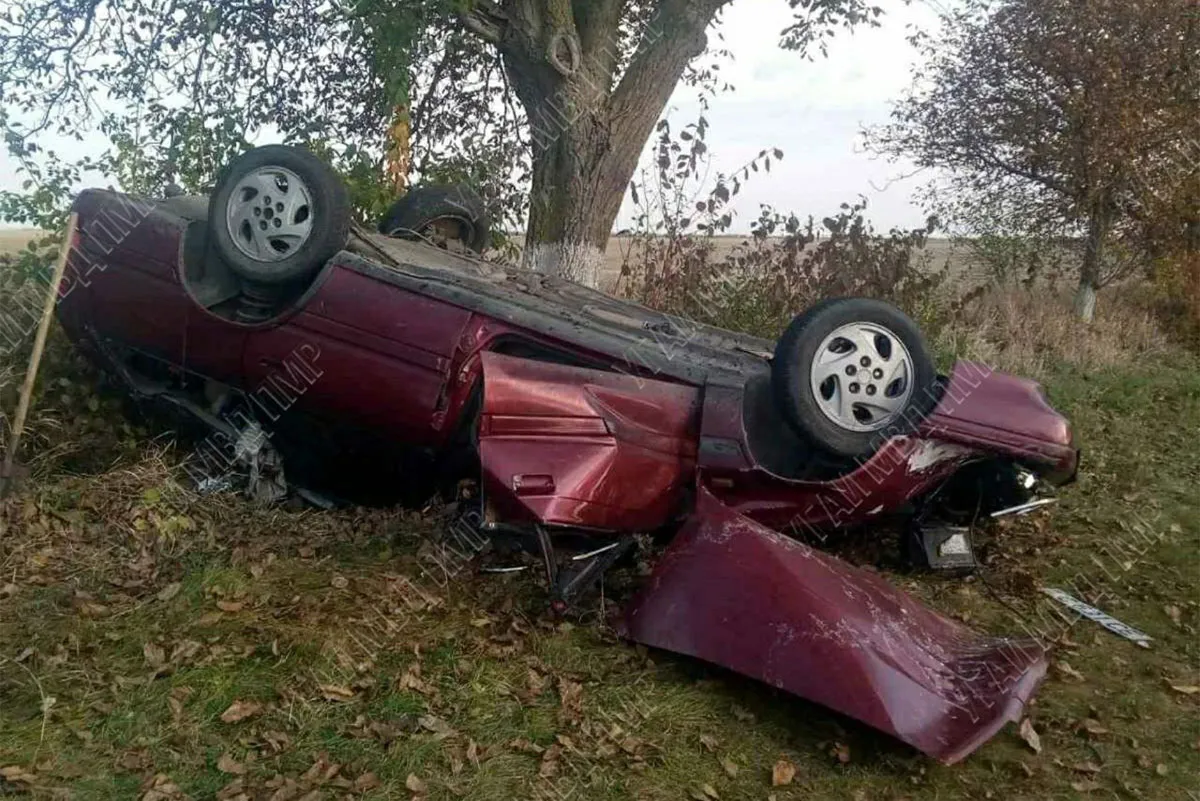 В Приднестровье машина врезалась в дерево