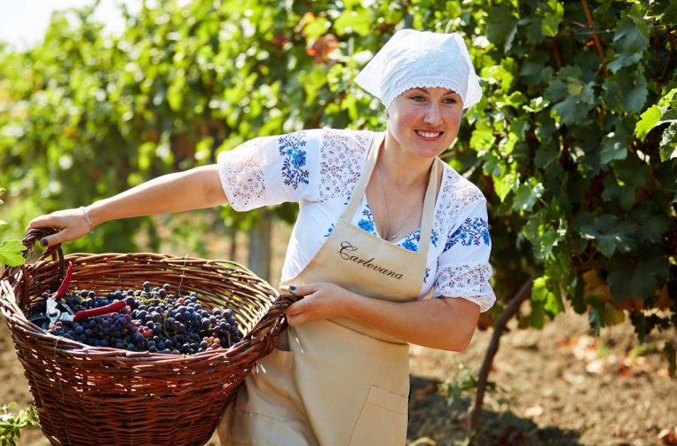 Carlevana Winery переживает ренессанс ®