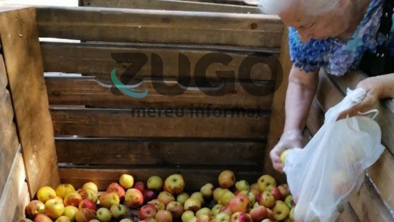 На Рышкановке кто-то оставил 2 ящика яблок, которые можно брать бесплатно