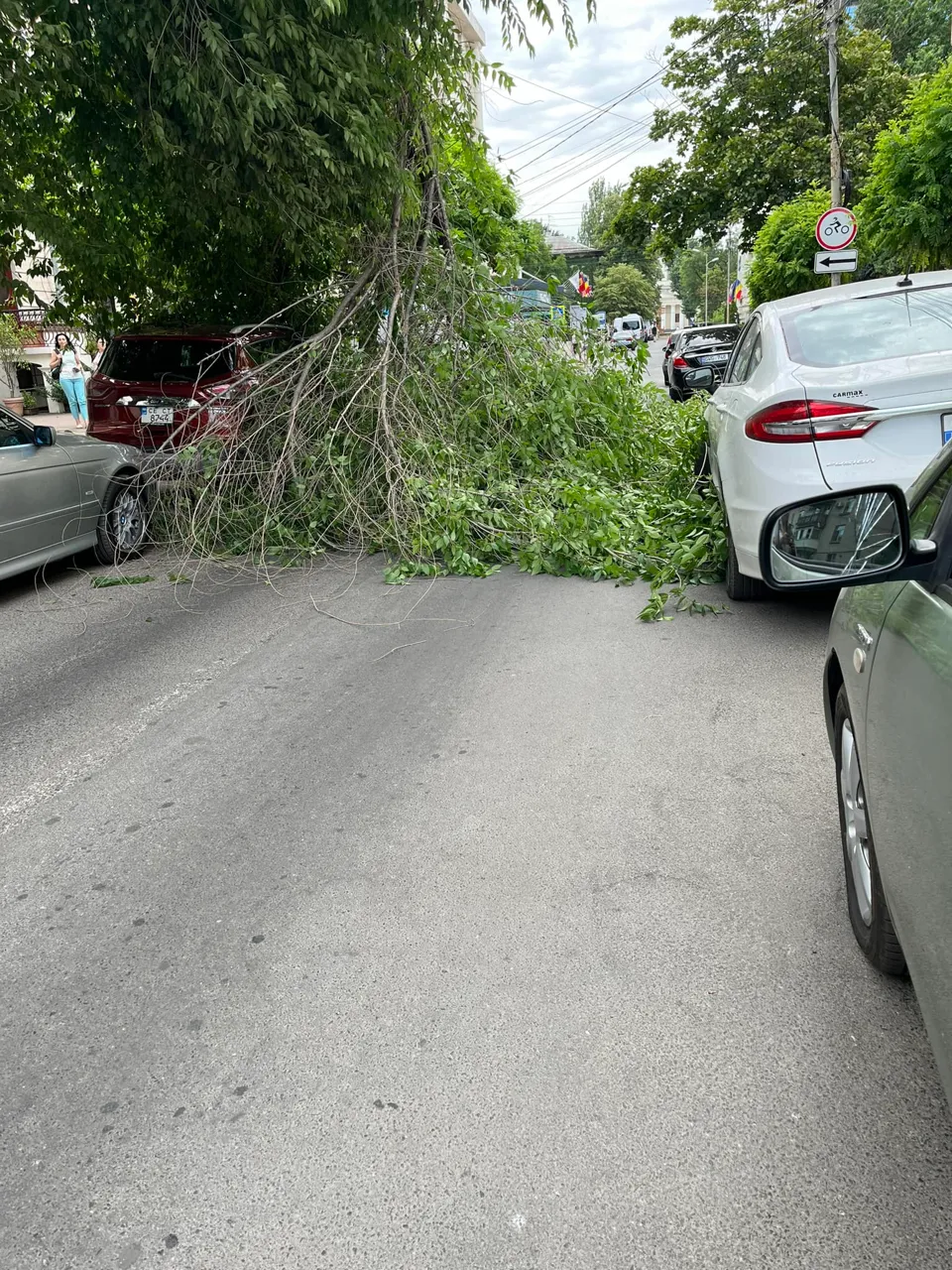 В Кишиневе огромная ветка упала на автомобиль