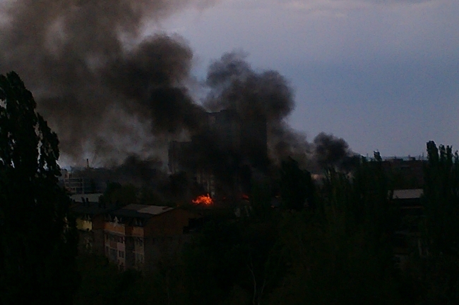 ботаника, мансарда