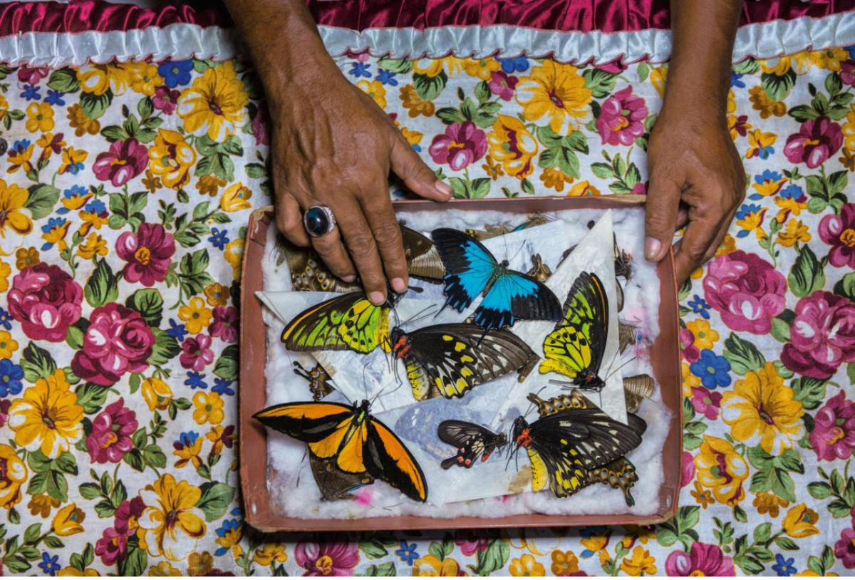 National Geographic обнародовал лучшие фотографии 2018 года