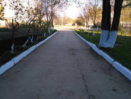 В Чадыр-Лунге выбрали самые благоустроенные дворы города