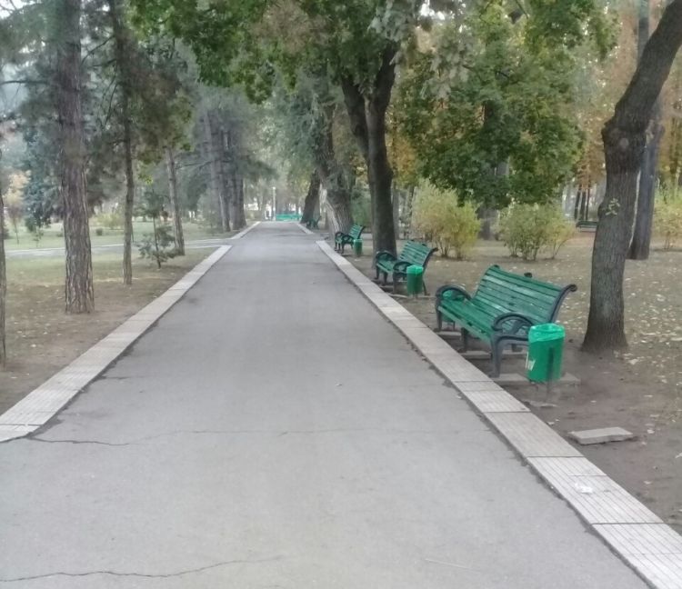 В День города в центре разместят дополнительные мусорные контейнеры