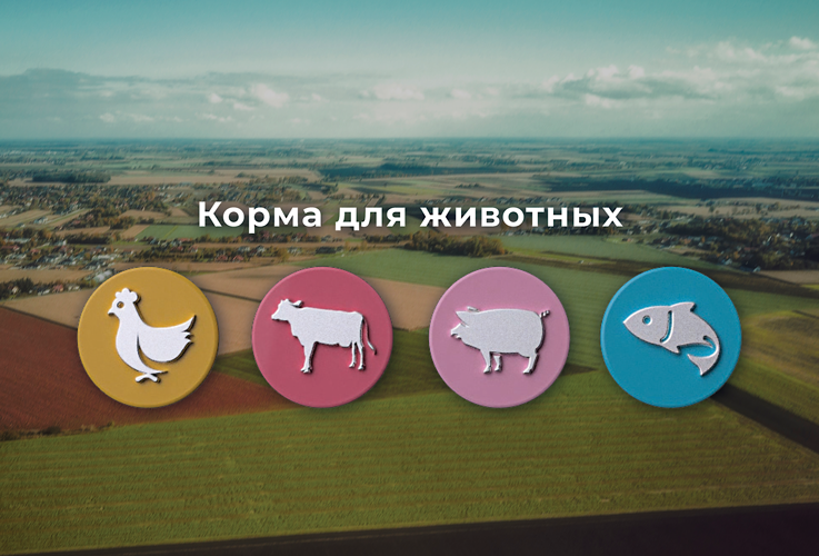 Экологическая модернизация Zernoff показала свою эффективность