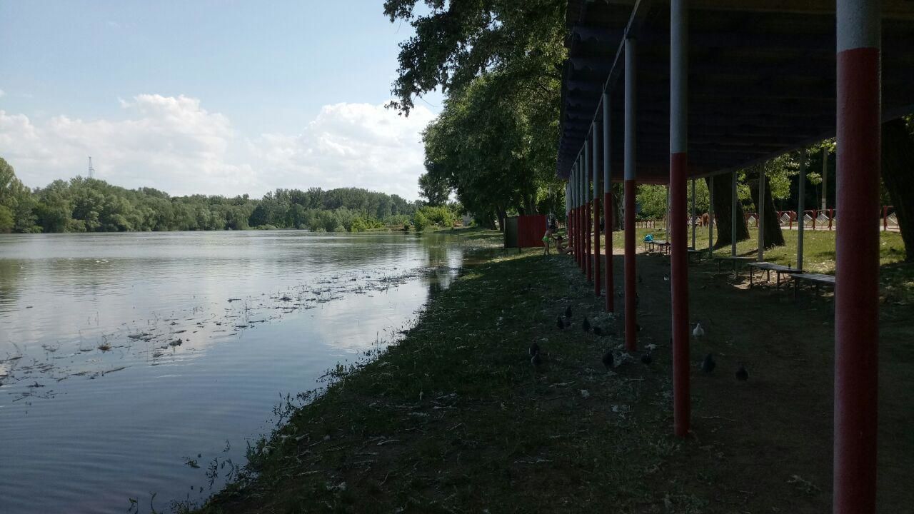 Высокий уровень воды в Днестре сохранится в течение недели