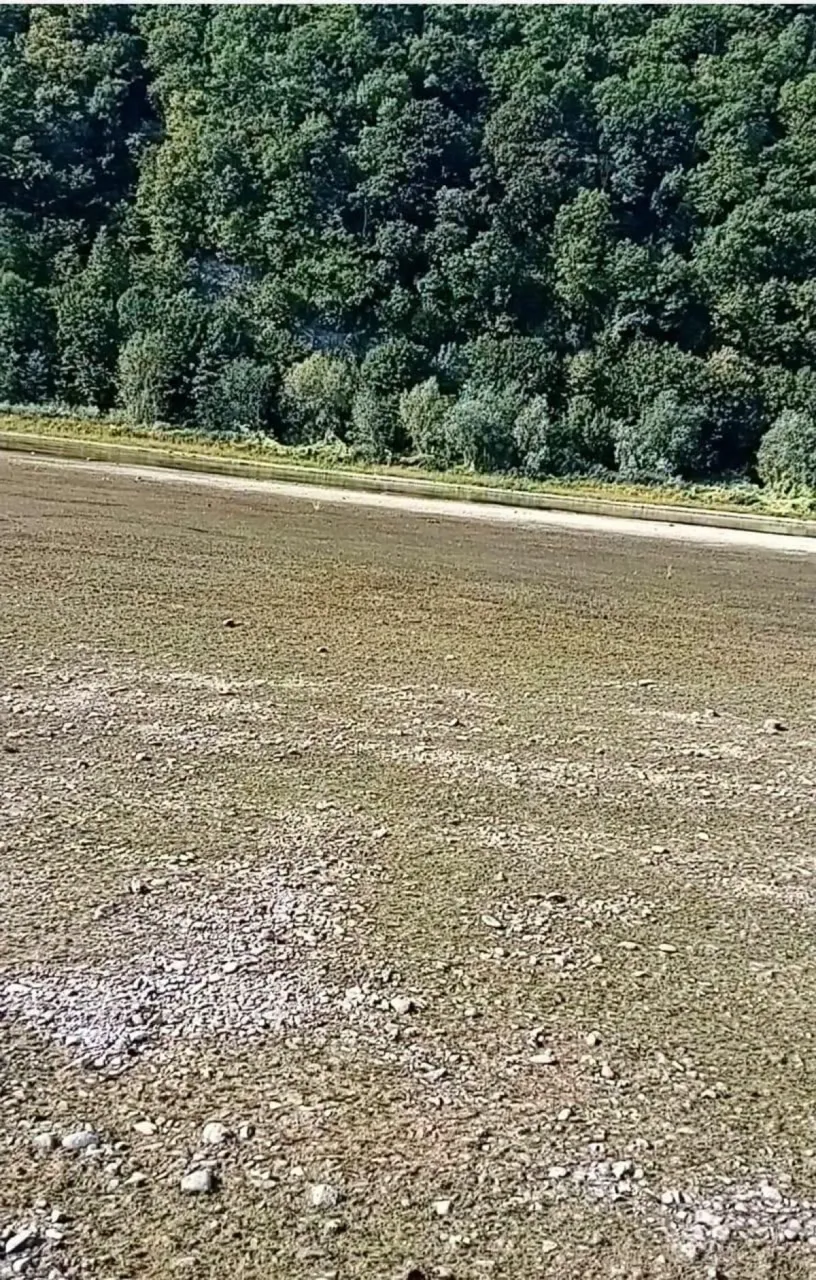 В Украине показали кадры обмелевшего Днестра