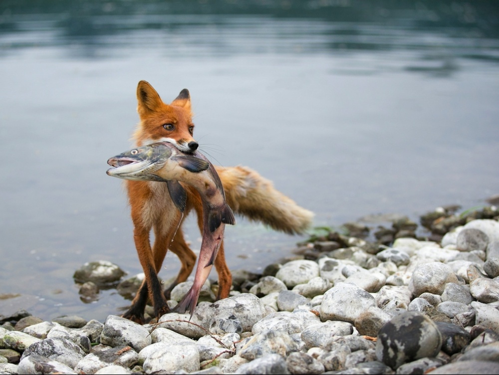 national geographic, фотосессия