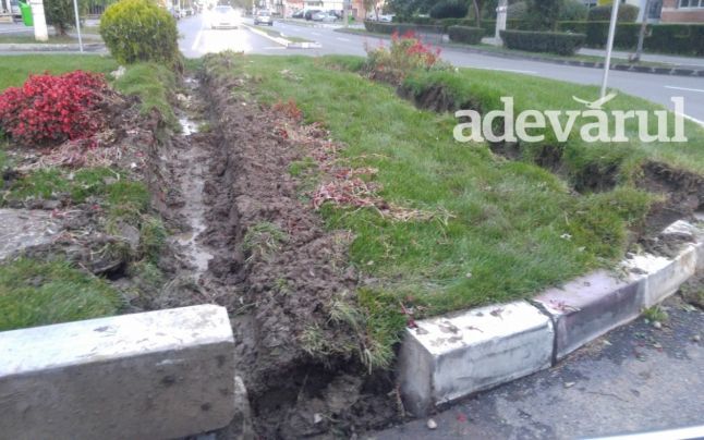 Un şofer de TIR a distrus un sens giratoriu, după ce s-a urcat cu roţile pe spaţiul verde