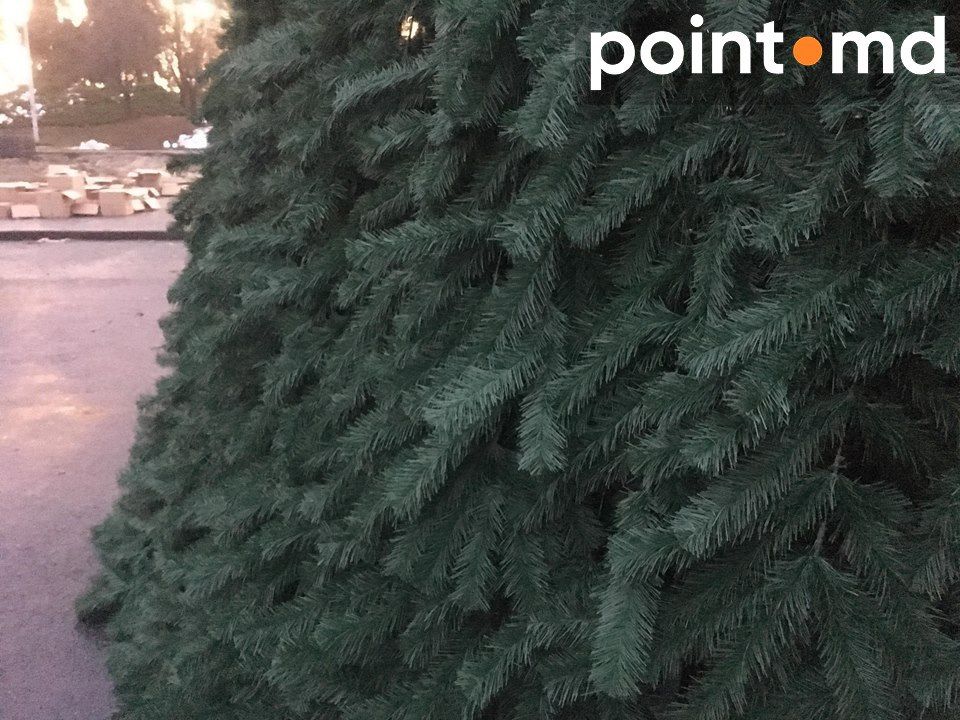 Елку в центре Кишинева начали украшать