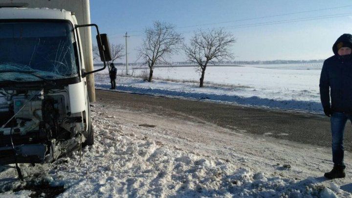 Выживший в аварии водитель грузовика рассказал, как произошло ДТП