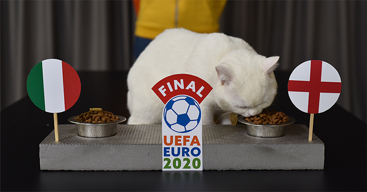 Euro-2020: Кот Sebo выбрал победителя финала