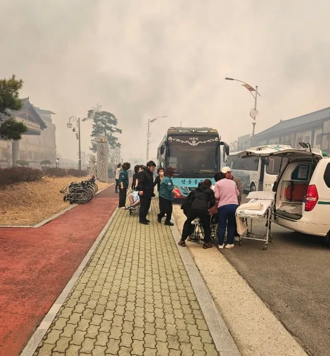 Peste 20 de incendii de vegetație mistuie Coreea de Sud: Există morți și persoane dispărute