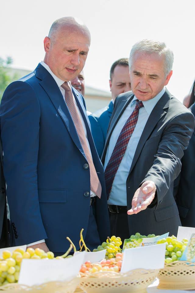Premierul Filip îi îndeamnă pe moldoveni să consume struguri autohtoni