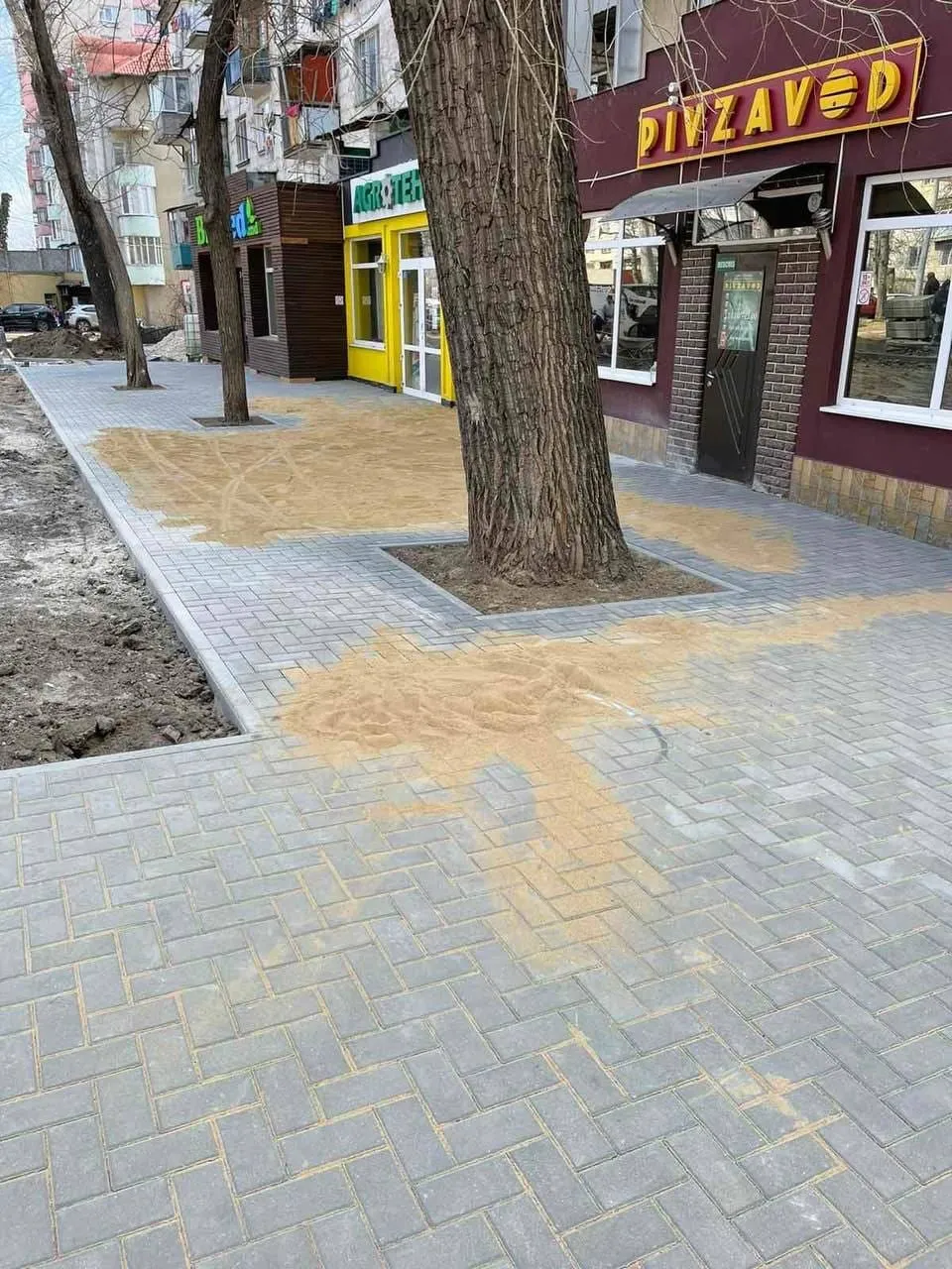 В секторе Буюканы обустраивается зеленая зона
