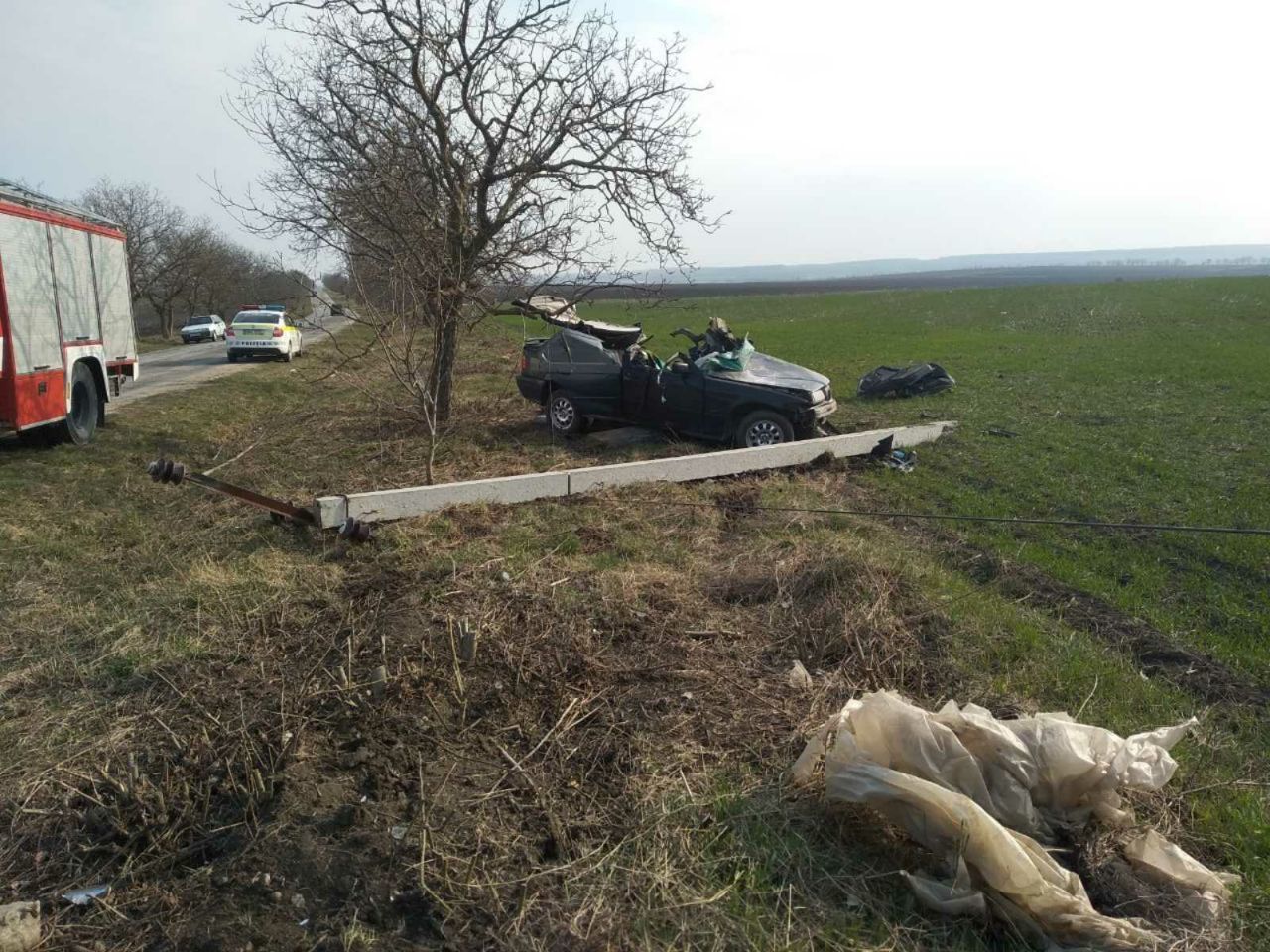 В Бричанском районе произошла авария: водитель врезался в столб