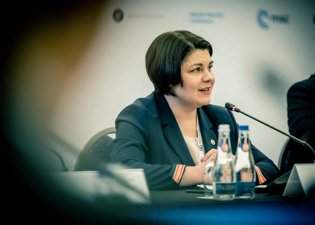 Гаврилица: Нам потребуется дополнительная помощь со стороны западных партнеров