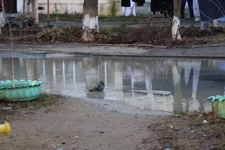 Двор одного из столичных домов залило водой