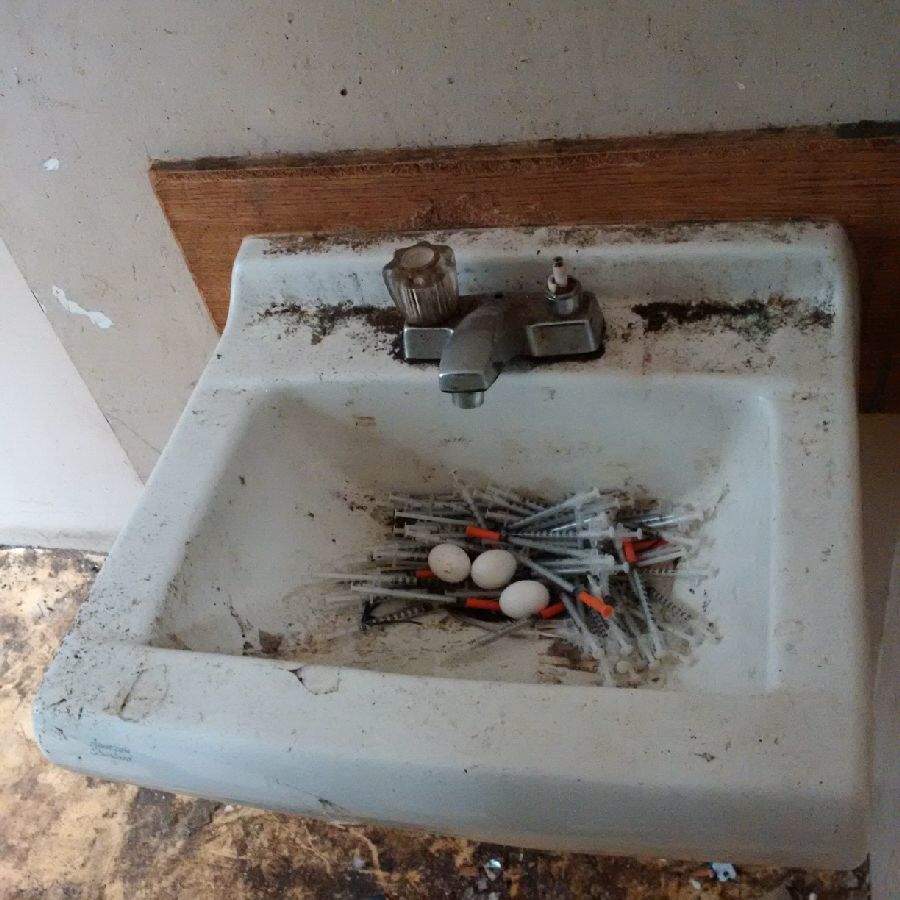 Problemă gravă cu drogurile într-un oraș: porumbeii fac cuib din seringi