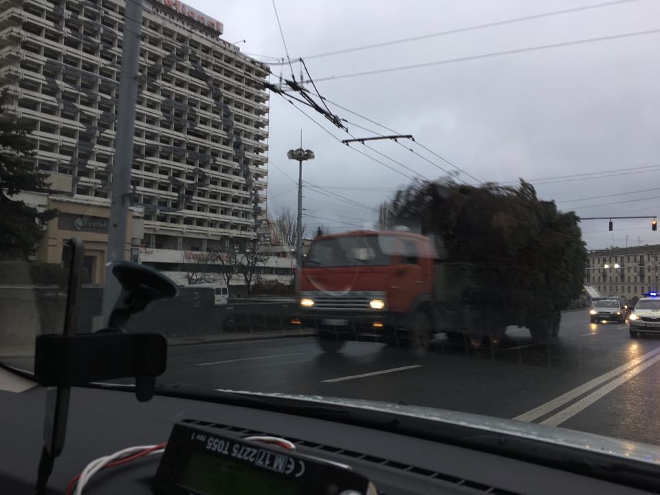 Supravegheat de polițiști, noul Pom de Crăciun a ajuns în PMAN