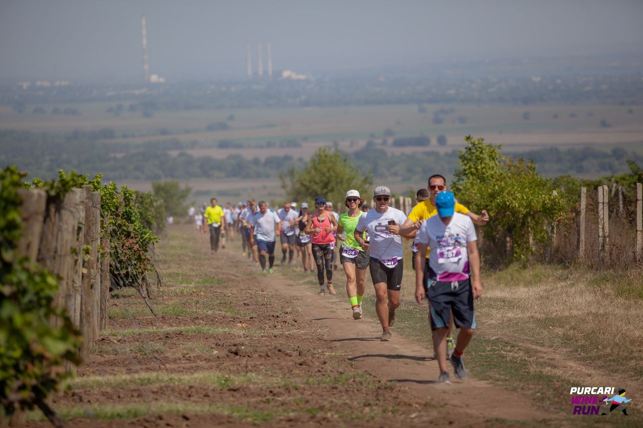 Purcari Wine Run: Забег на закате дня