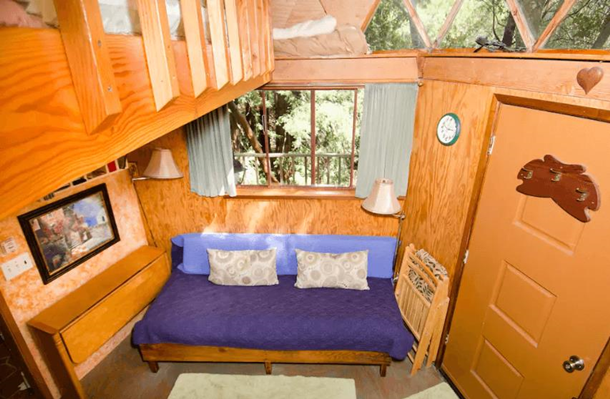 Самое популярное жилье Airbnb - хижина в виде гриба