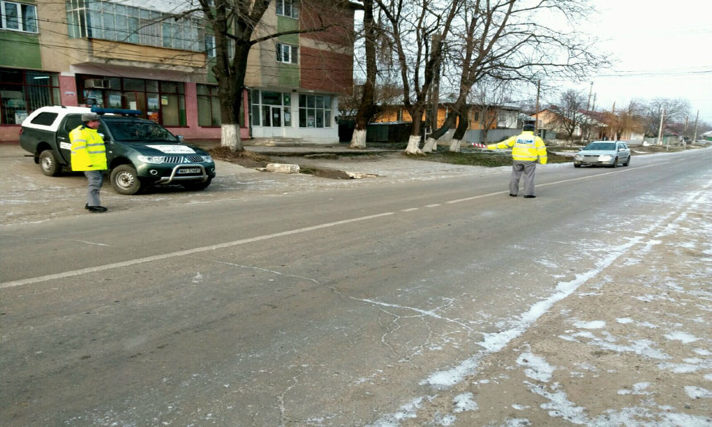 Молдаванин попался в Румынии на незаконном провозе 50 кг замороженной рыбы