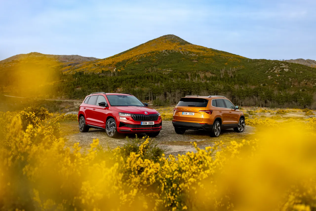 Щедрая осень. Специальное предложение на автомобили Škoda – экономия до 8000 евро
