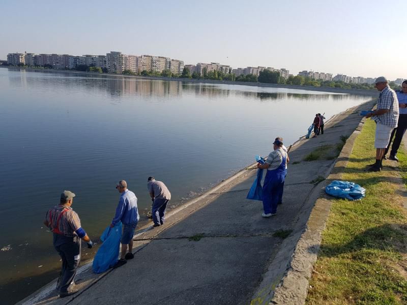 В одном из озер Бухареста массово гибнет рыба