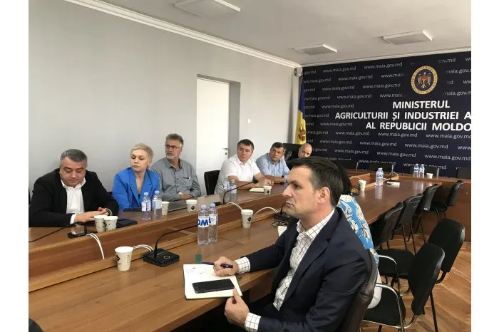 IFAD начинает крупный проект по разведению овец и выращиванию овощей в Молдове