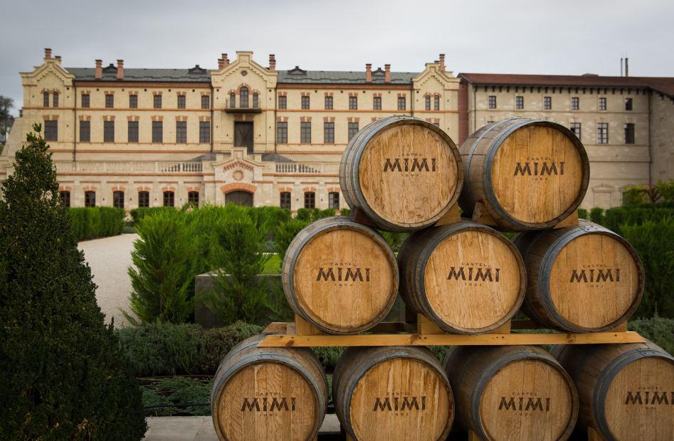 Вино 1902. Мими винодельня Молдова. Castel Mimi Winery. Вина Молдовы Мими. Криково Молдова Мими.