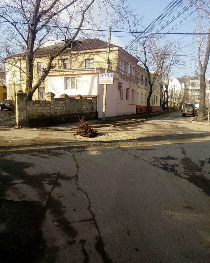 Огромную яму в центре Кишинева закрыли елкой
