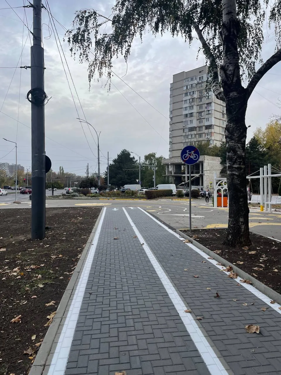 В Кишиневе оборудовали еще одну полосу для велосипедистов