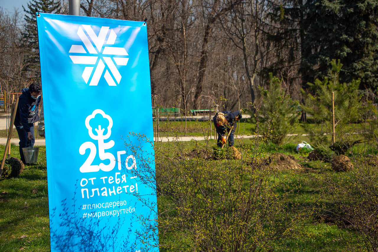 Verde.md: В Кишиневе Verde и Siberian Wellness организовали посадку деревьев