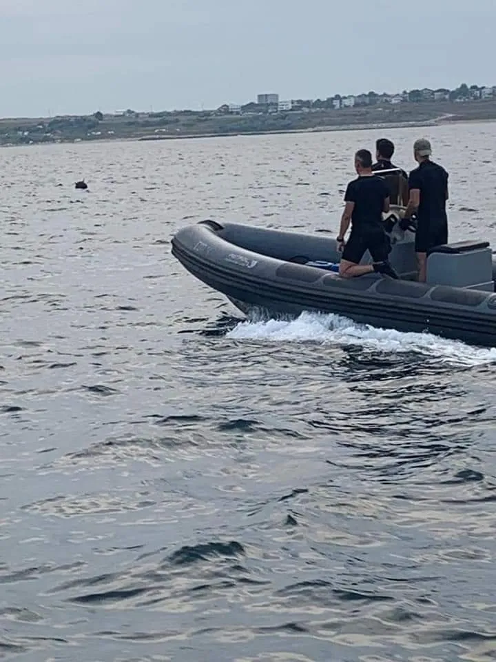 В Румынии обезвредили дрейфующую морскую мину
