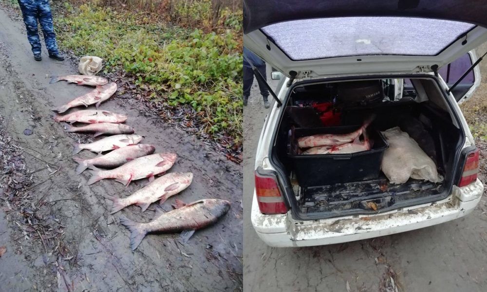 В Молдове провели рейды по борьбе с браконьерами, 17 Декабря 2019 года