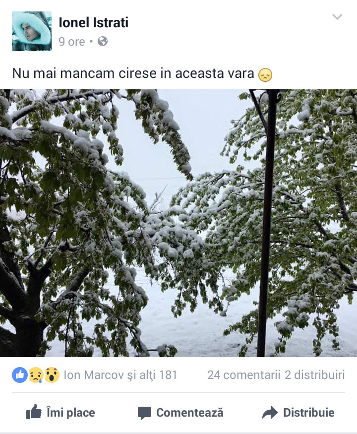 „Catastrofa meteorologică” prin ochii vedetelor autohtone