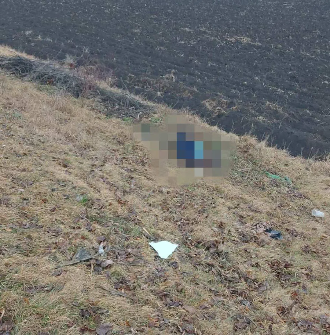 В Фалештском районе мужчина погиб под колесами грузовика