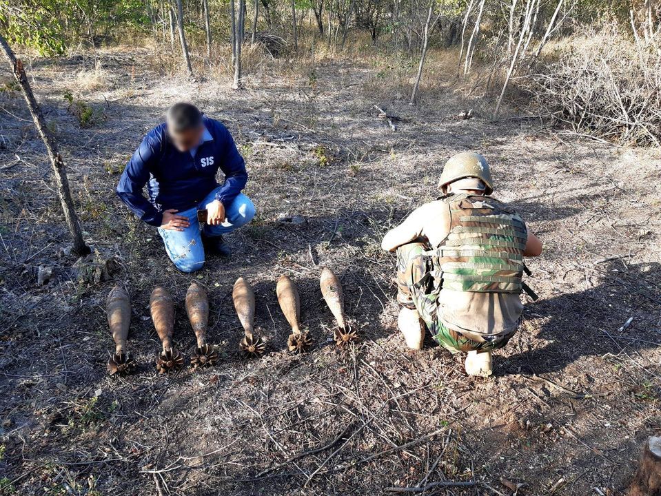 В лесополосе в Хынчештах нашли шесть снарядов времен ВОВ