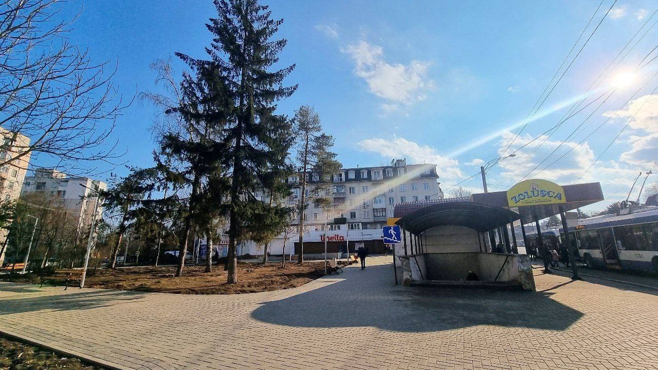 Продолжается реабилитация сквера на Ботанике