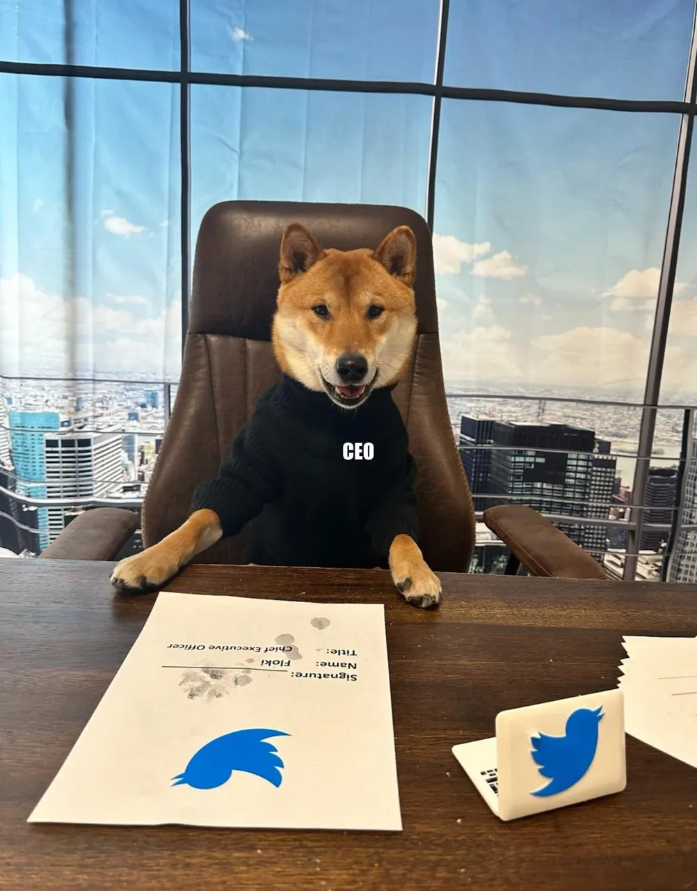 Маск «назначил» на пост нового гендиректора Twitter свою собаку
